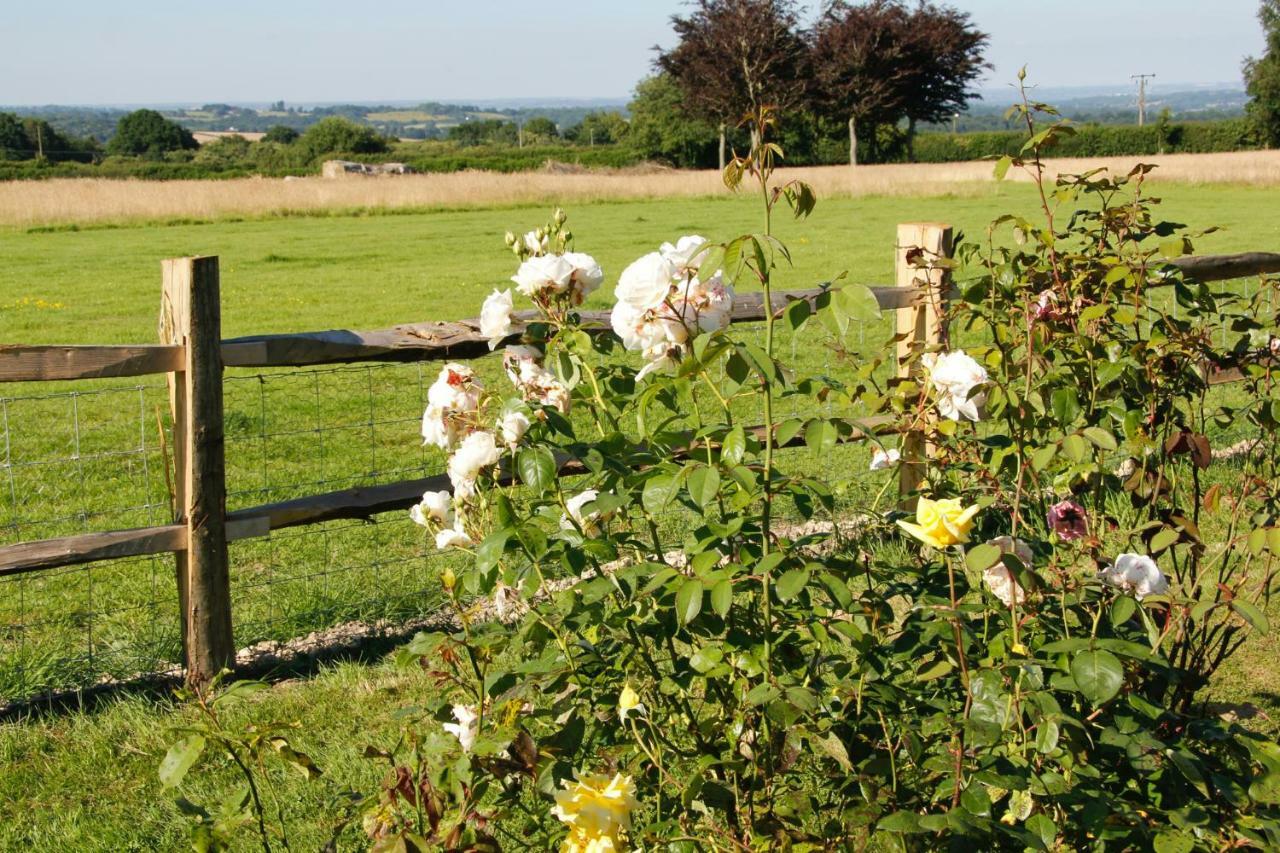 Wadhurst Bewl Rookery B&B מראה חיצוני תמונה