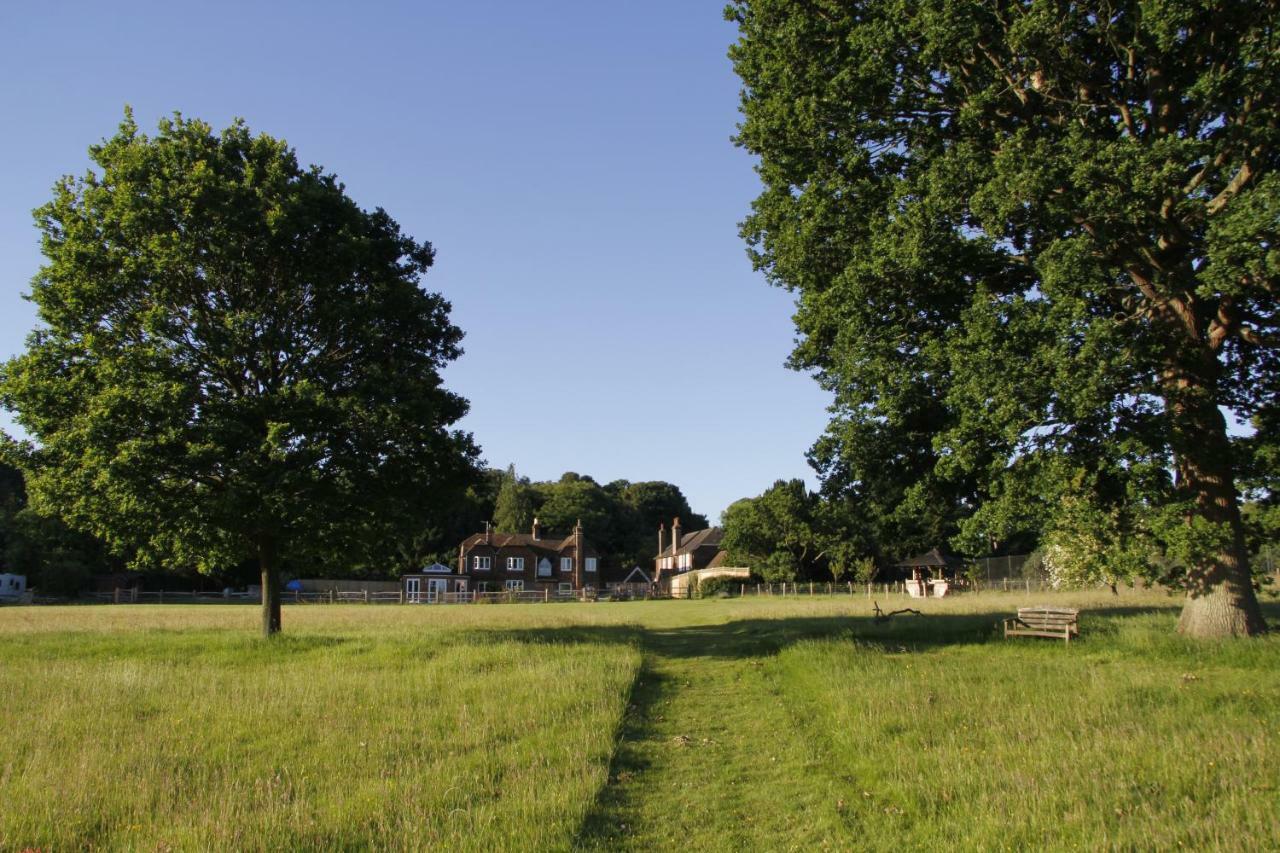 Wadhurst Bewl Rookery B&B מראה חיצוני תמונה